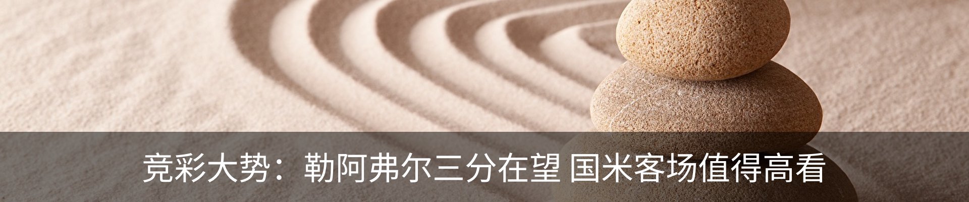 最新动态